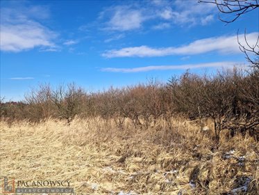 działka na sprzedaż 13822m2 działka Brzozówka Korzkiewska