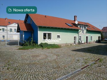 Dom z działalnością i dużą działką w Czernej – atrakcyjna oferta! dom Czerna