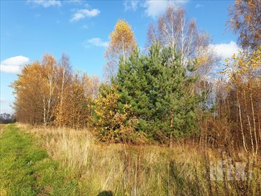 działka na sprzedaż 44500m2 działka Stary Łajszczew