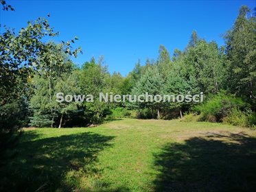 Działka inna na sprzedaż Rybnica 98 300m2 Foto 1