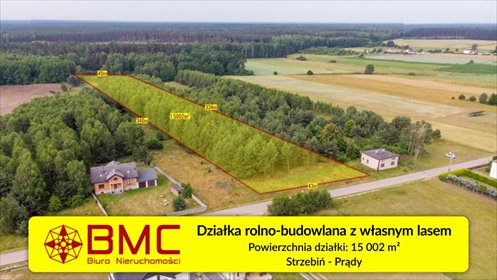działka na sprzedaż 15002m2 działka Strzebiń, Prądy, Kościuszki