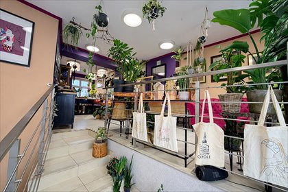 lokal użytkowy na wynajem 45m2 lokal użytkowy Opole, Rynek