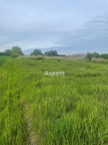 działka na sprzedaż 1522m2 działka Wodzisław Śląski, Turzyczka