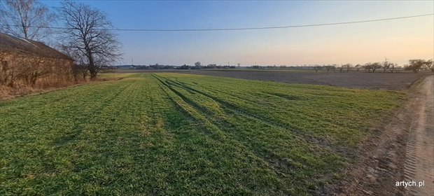 działka na sprzedaż 5485m2 działka Przeździatka-Kolonia