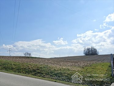 działka na sprzedaż 8100m2 działka Bodzanów