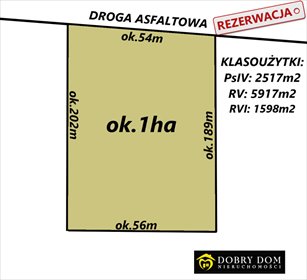 działka na sprzedaż 10032m2 działka Peńskie