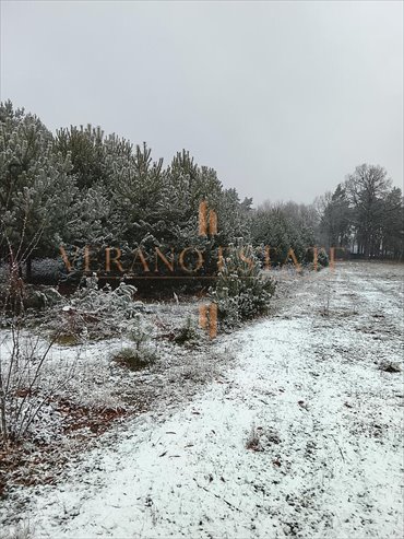 działka na sprzedaż 3600m2 działka Groszowice