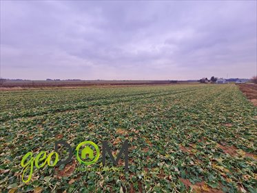 działka na sprzedaż 1878m2 działka Pliszczyn