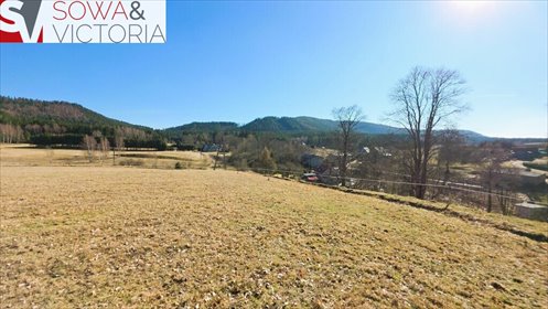 działka na sprzedaż 17800m2 działka Chełmsko Śląskie