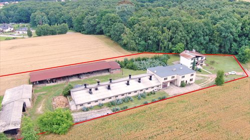 Lokal użytkowy na sprzedaż Nieboczowy, Rzeczna 8 690m2 Foto 4