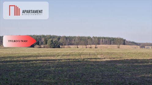 działka na sprzedaż 3004m2 działka Gołoty