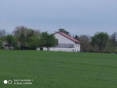 Uzbrojona działka 1620 m² w Czerninie - zapraszam działka Czernin, Czernin