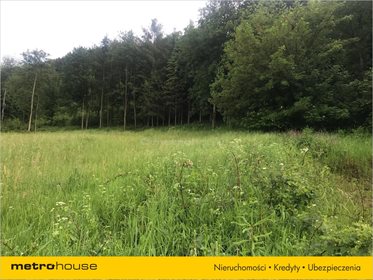 Działka rolna na sprzedaż Bukowiec, Solina 13 100m2 Foto 5