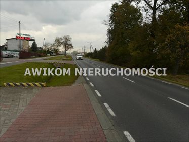 działka na wynajem 4000m2 działka Skierniewice