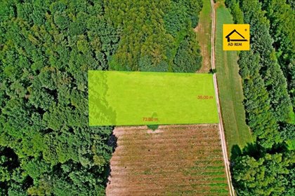 działka na sprzedaż 3000m2 działka Uściąż, Uściąż