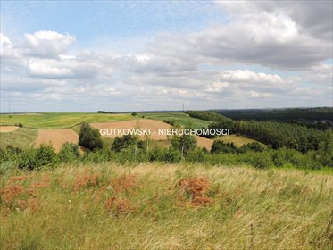 Działka z WZ, las, jeziora, widoki, spokojna okolica działka Bratian, Łąki Bratiańskie