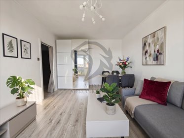 mieszkanie na wynajem 42m2 mieszkanie Łódź, Polesie, Olimpijska