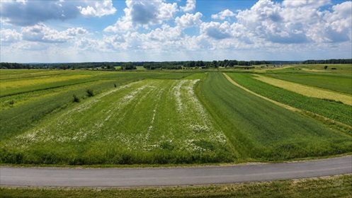 Działka 1,3 ha w Kamieniu - szybki dojazd do Rzeszowa. działka Kamień, Krzywa Wieś