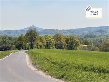 działka na sprzedaż 3259m2 działka Marczów