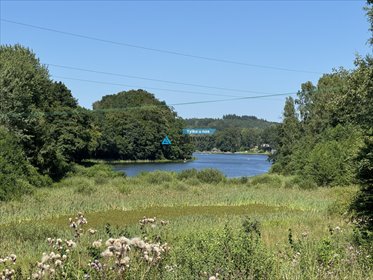 Działka z widokiem na jezioro i las, pierwsza linia! działka Piekło Dolne