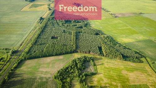 Działka leśna na sprzedaż Parys 205 000m2 Foto 2