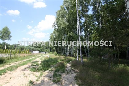 Działka leśna na sprzedaż Liciążna 2 128m2 Foto 1
