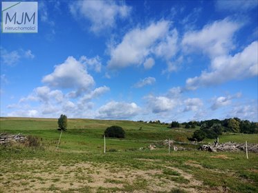 działka na sprzedaż 3035m2 działka Moczyły