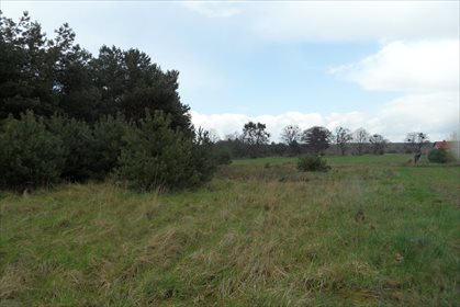 Działka budowlana na sprzedaż Lipówka 11 778m2 Foto 6