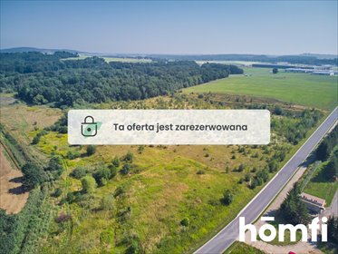 działka na sprzedaż 48443m2 działka Żarów, Strefowa