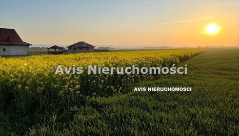 działka na sprzedaż 3200m2 działka Włóki