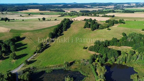 Do sprzedania działka 34 741 m² z potencjałem winnicy i agroturystyki działka Dębowy Gaj