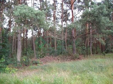 Działka budowlana na sprzedaż Otwock, Świder 5 000m2 Foto 1