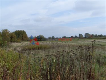 działka na sprzedaż 4600m2 działka Konstancin-Jeziorna