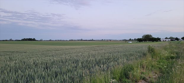 Działka 925 m² pod dom lub pensjonat w Śmiechowie polecam działka Śmiechów