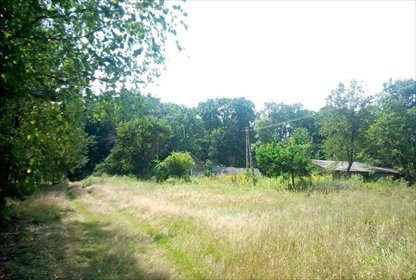 działka na sprzedaż 3600m2 działka Wólka Pętkowska