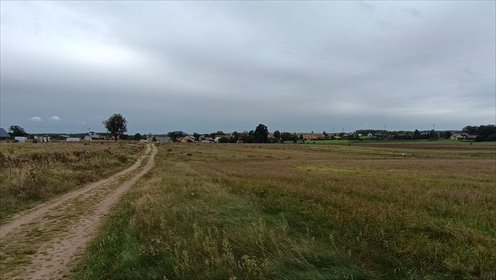 Zapraszam do zakupu działki rolnej z możliwością zabudowy w Ełganowie działka Ełganowo, Teodora Wrzesińskiego