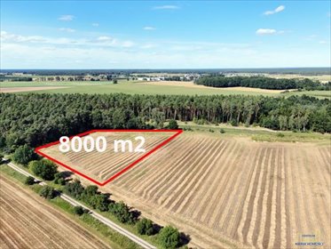 Polecam dużą działkę 8 000 m² z lasem i możliwością podziału działka Niałek Wielki, Kiełpińska