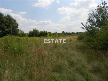 działka na sprzedaż 12925m2 działka Nowa Gadka, Ogrodników