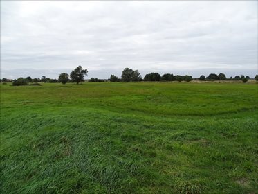 Działka rolna na sprzedaż Orzeszków, Wińsko 15 033m2 Foto 6