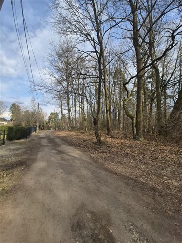 Działka 5682 m² z mediami, lasami i ciszą w Rudy działka Rudy, Brantolka