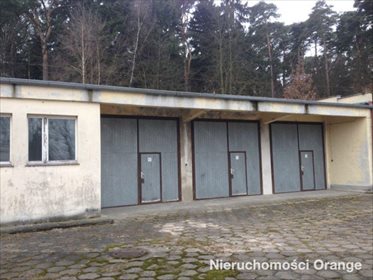 Lokal użytkowy na sprzedaż Szubin-Wieś 1 196m2 Foto 4