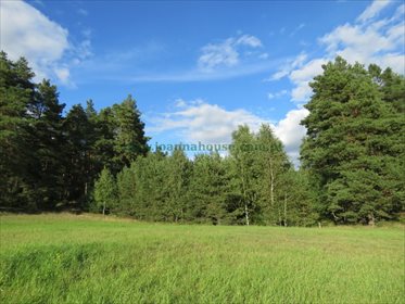 Działka rolna na sprzedaż Jeleniowo 10 000m2 Foto 1