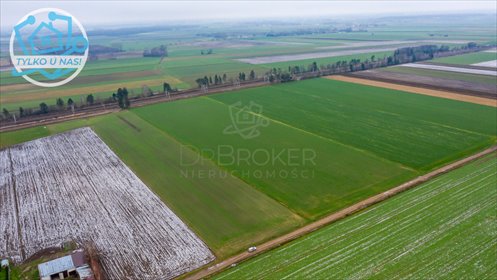 Działka rolna 3,55 ha z dojazdem, idealna pod uprawę - polecam! działka Jacowlany