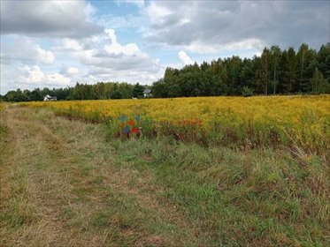 Działka 1000 m² w spokojnej okolicy z mediami w drodze działka Wola Mrokowska