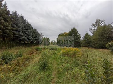 Działka 1554 m² z mediami i lasem w Żelechowie działka Żelechów