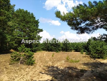 Działka inna na sprzedaż Stawinoga 2 555m2 Foto 5