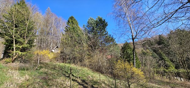 Sprzedam działkę 1408 m² w Targanicach z widokiem na góry działka Targanice, Os.Świerkowe
