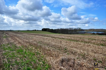 Działka 3021 m² w Stojkowie, las i jezioro - polecam! działka Stojkowo