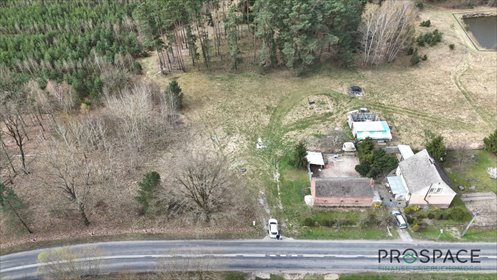 Sprzedam działkę 3776 m² z lasem, WZ, asfalt, woda, prywatność działka Stargard Gubiński