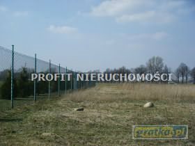 Działka inna na sprzedaż Górna Wola 2 000m2 Foto 1